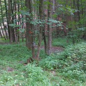 FM0   FC100100100:zzzzzz010153 078043874441663838014c0 bac2fd1591594 fcb13b1a1a12cc11d1e0a17a5 ff1f851aff e1 dd3 c3710b a43 973114 c35 b2011d c93 b5d126 e0f c8912f1059 eb1138132f10f914116eb146d14a1d741b2715325d5242015c2db42b5d1532c3427be